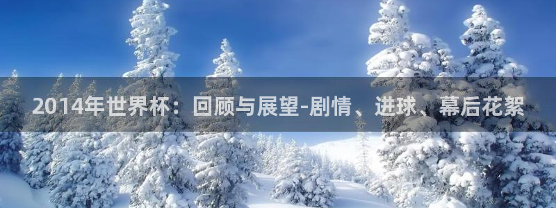 2026世界杯德国队阵容:2014年世界杯:回顾与展望-剧情、进球、幕后花絮