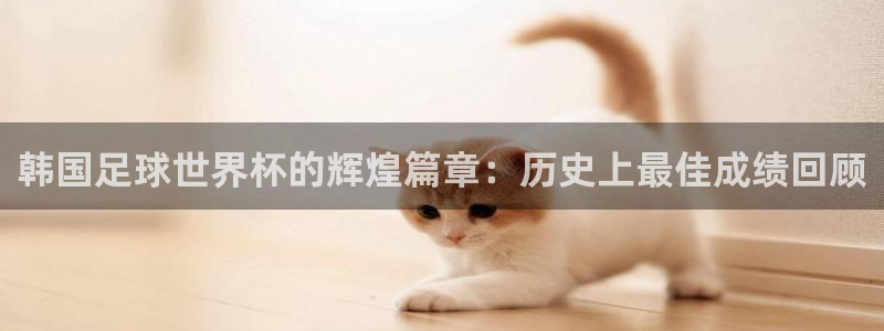 世界杯对阵图2026：韩国足球世界杯的辉煌篇章：历史上最佳成绩回顾