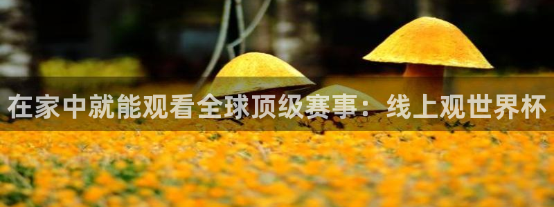 足球世界杯赛程：在家中就能观看全球顶级赛事：线上观世界杯