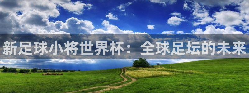 世界杯附加赛赛程表:新足球小将世界杯:全球足坛的未来