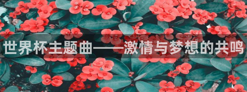 欧洲世界杯预选赛赛程：世界杯主题曲——激情与梦想的共鸣