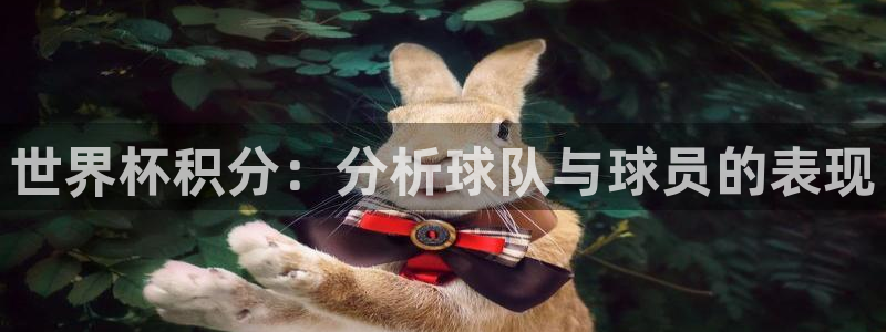 2026年世界杯：世界杯积分：分析球队与球员的表现