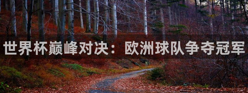 世界杯直播网站：世界杯巅峰对决：欧洲球队争夺冠军