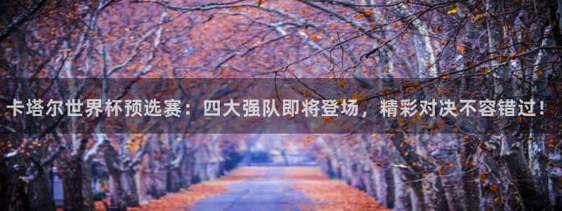 欧洲世界杯预选赛赛程：卡塔尔世界杯预选赛：四大强队即将登场，精彩对决不容错过！