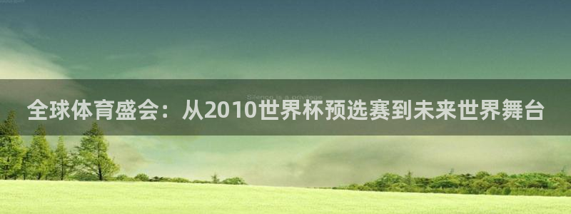 2026世界杯对阵图：全球体育盛会：从2010世界杯预选赛到未来世界舞台