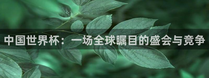 世界杯附加赛赛程表：中国世界杯：一场全球瞩目的盛会与竞争