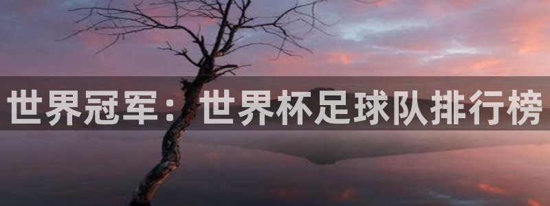 世界杯预选赛欧洲：世界冠军：世界杯足球队排行榜