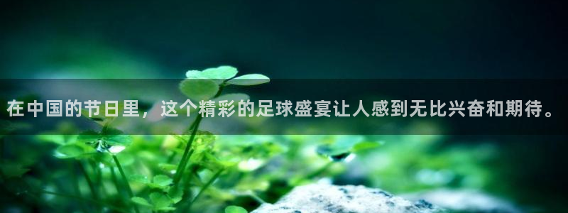 世预赛免费直播入口：在中国的节日里，这个精彩的足球盛宴让人感到无比兴奋和期待。