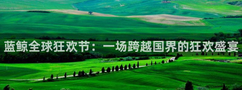 世界杯欧洲区赛程：蓝鲸全球狂欢节：一场跨越国界的狂欢盛宴